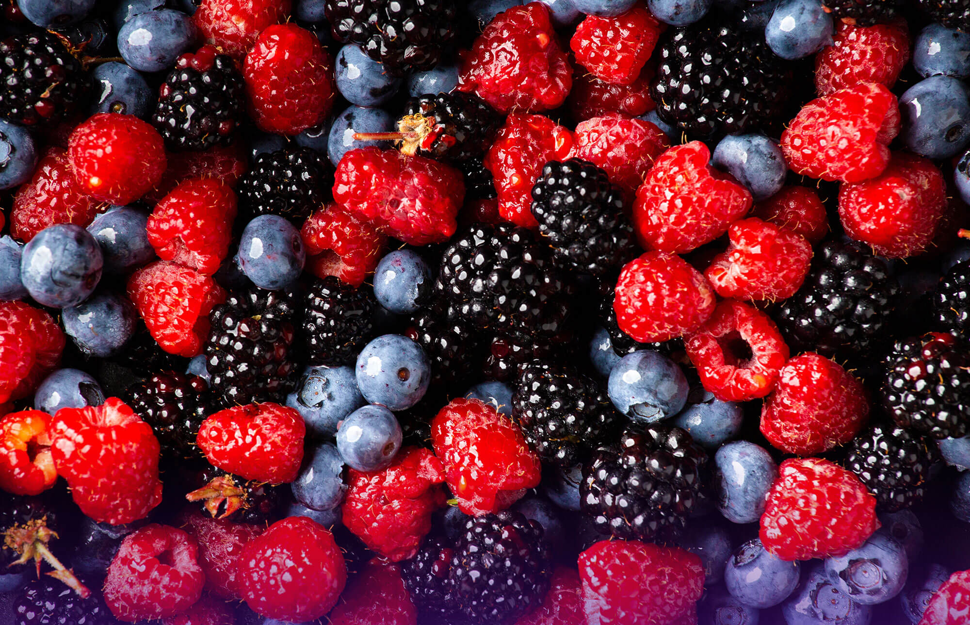 berries - image